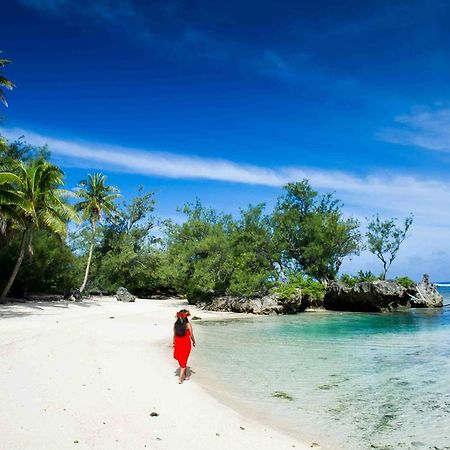 Tamatoa La Perruche Rouge Guest House المظهر الخارجي الصورة