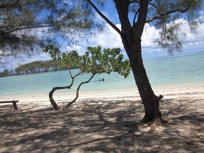 Tamatoa La Perruche Rouge Guest House المظهر الخارجي الصورة
