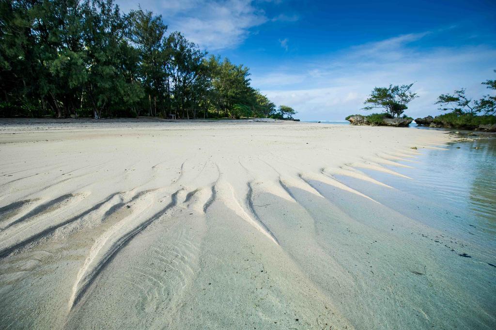 Tamatoa La Perruche Rouge Guest House المظهر الخارجي الصورة